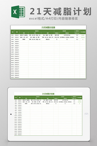 21天减脂计划表Excel模板图片