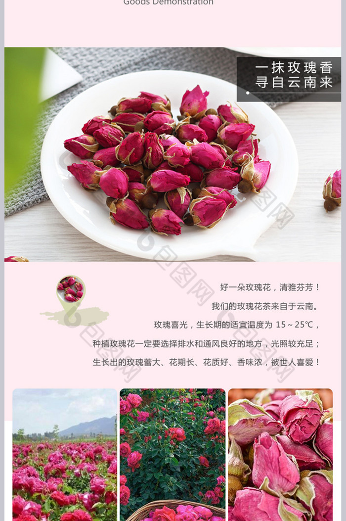 玫瑰花茶详情页psd