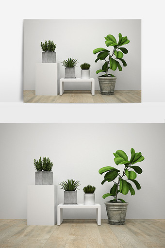 盆景植物组合模型图片
