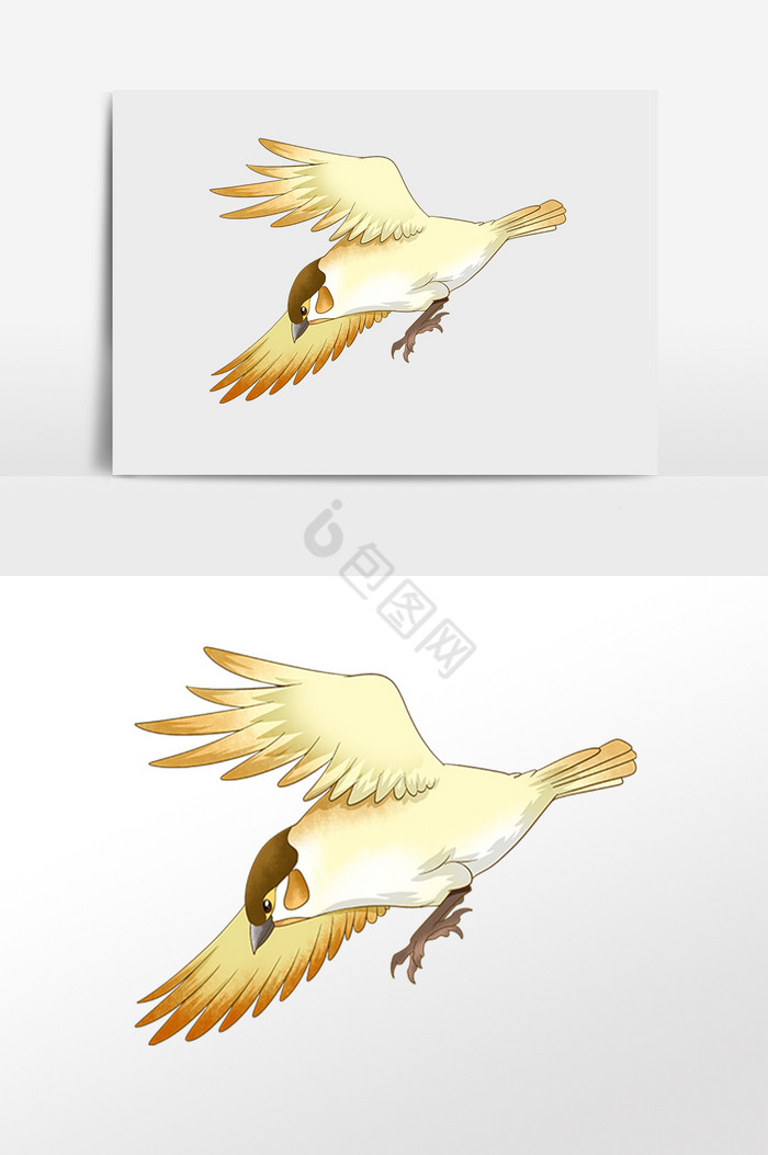 飞翔的鸟插画