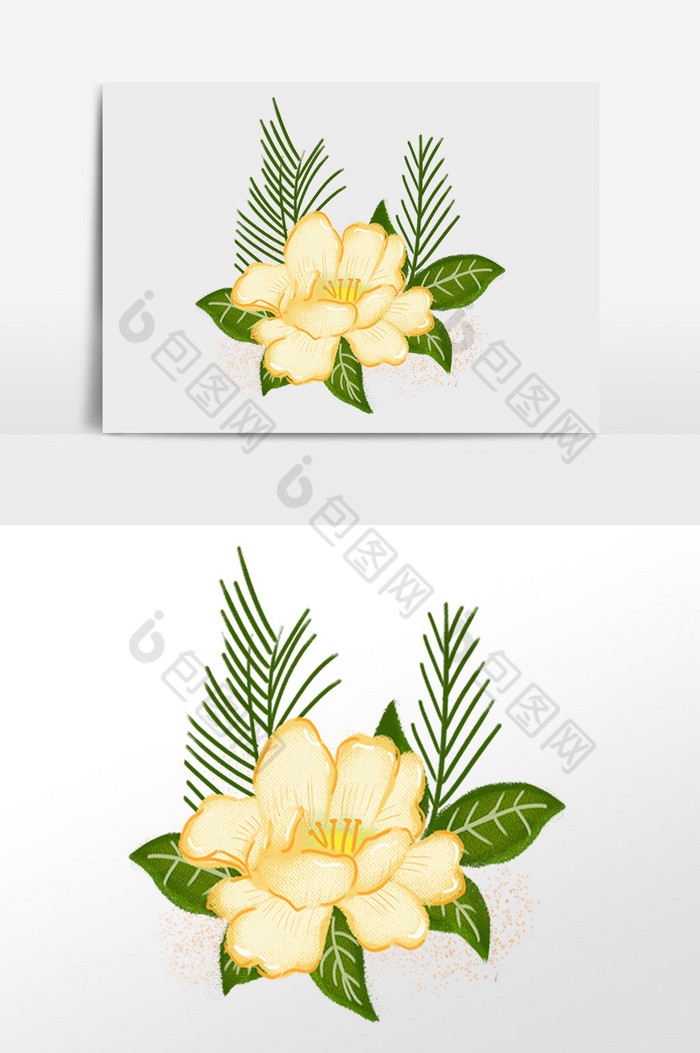 插画元素花卉植物图片