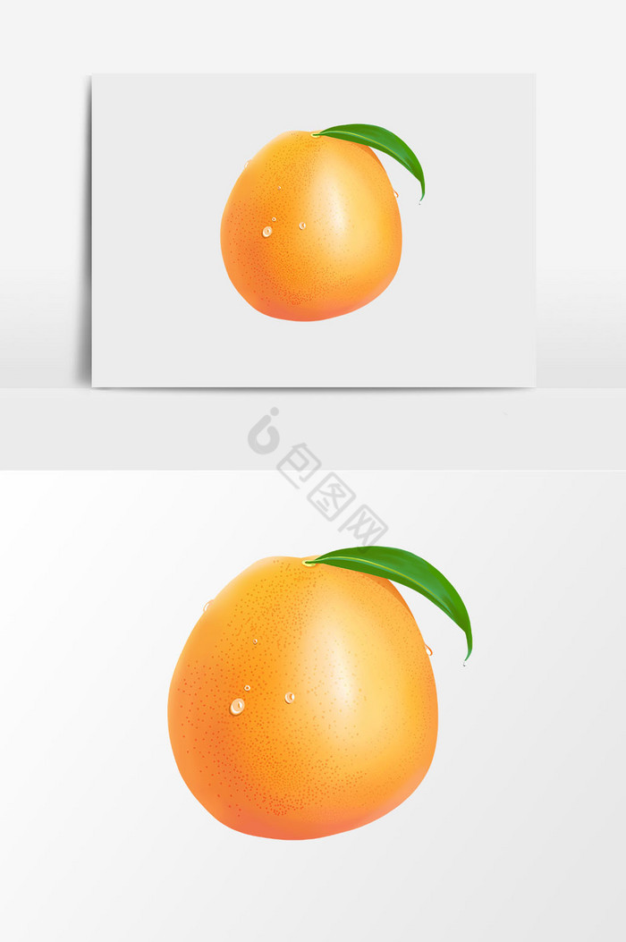纯橙子图片