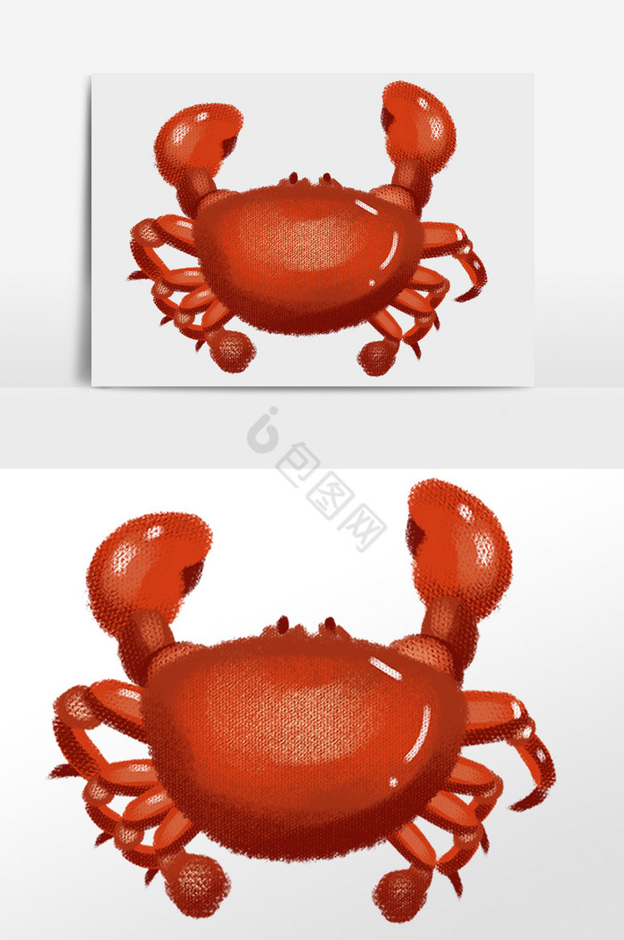 海鲜水产螃蟹插画图片