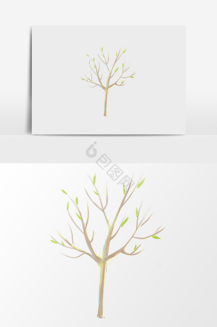 绿叶小树插画图片