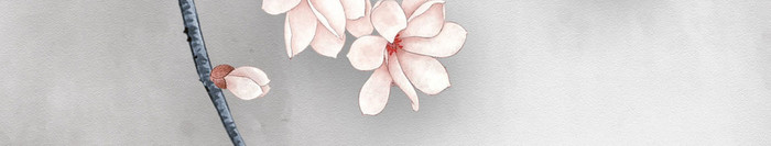中式意境简约时尚粉色花枝水墨山水背景墙