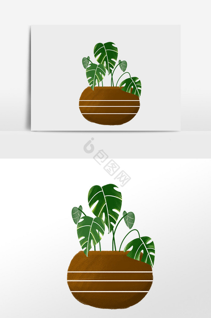 盆栽热带植物插画图片
