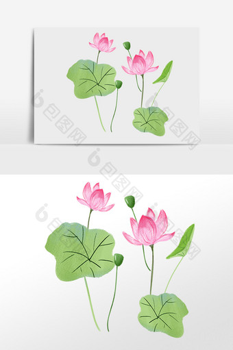 手绘荷花花卉植物插画元素图片