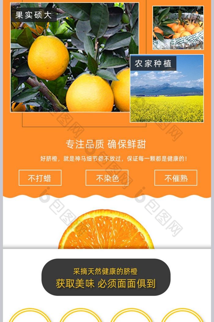 简约橙子有机脐橙新鲜水果详情页