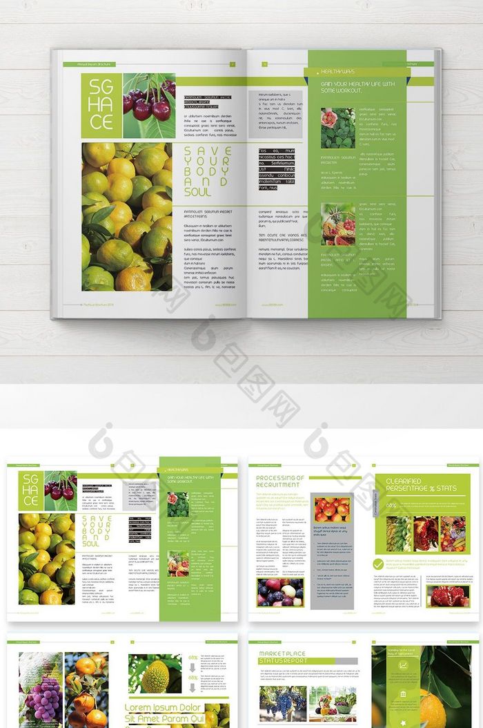 清新时尚水果蔬菜产品宣传册