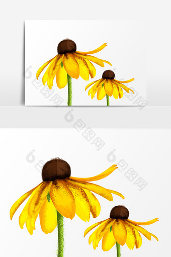 手绘重阳节黄菊插画元素图片