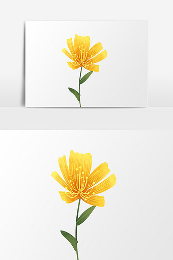 黄色花朵鲜花元素素材图片