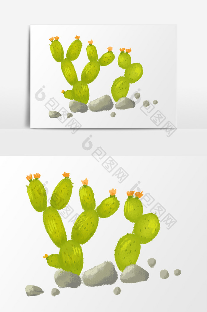 绿色花朵仙人掌插画元素
