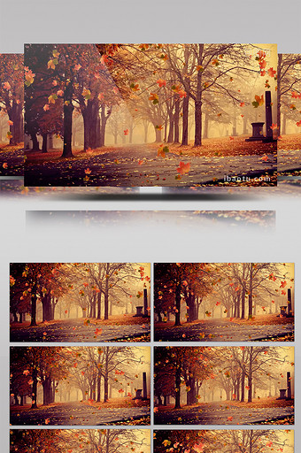 秋天枫叶飘落树木公园背景合成素材图片