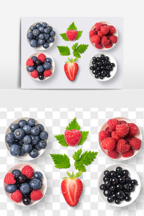 蓝莓草莓水果元素PNG文件水果抠图
