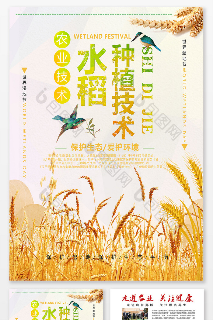简约农业水稻种植技术单页