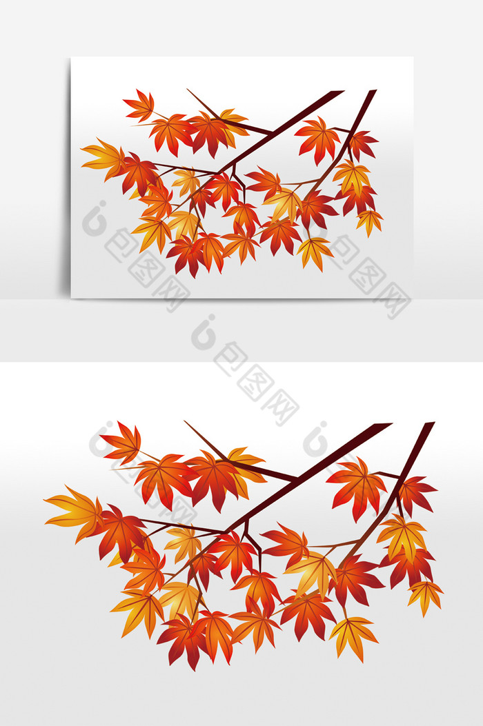 秋季的枫叶图片图片