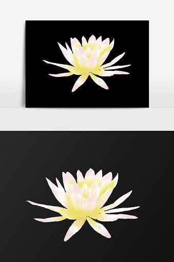 手绘盛开的花插画元素图片