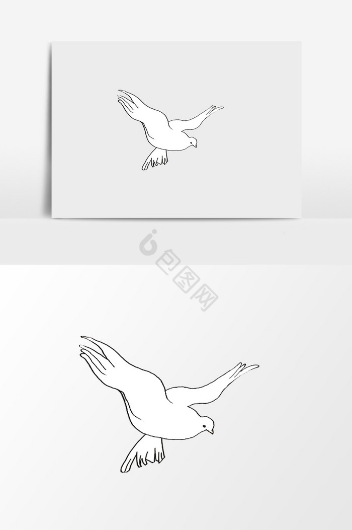 鸽子插画挂画图片
