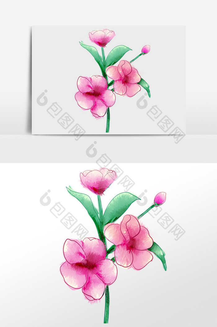 粉色水彩花朵插画