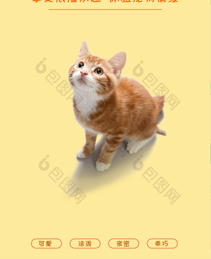 可爱猫咪宠物促销手机海报