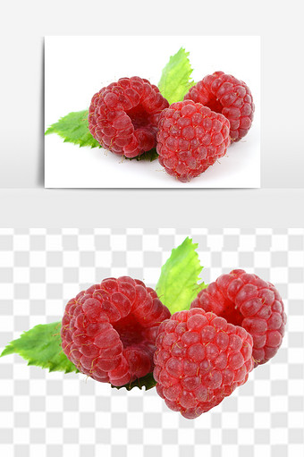 黑莓水果浆果图片