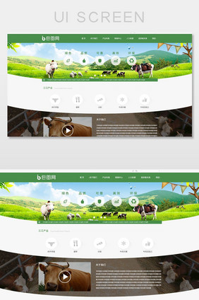 绿色健康食品通用企业官网首页界面