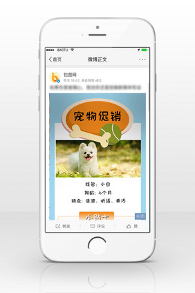 唯美宠物促销信息长图