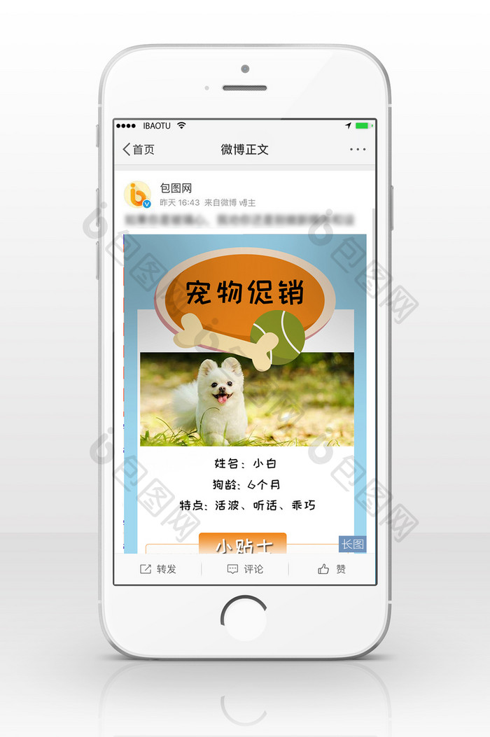唯美宠物促销信息长图