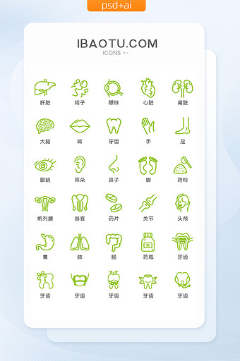 绿色线条人体器官图标矢量UI素材icon图片