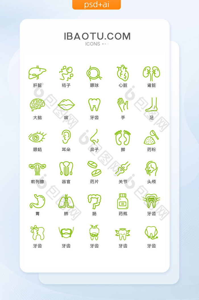 绿色线条人体器官图标矢量UI素材icon图片图片