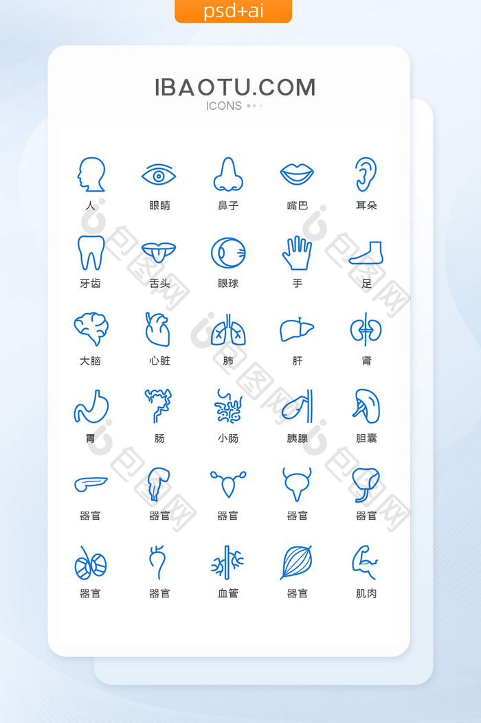 简约线性人体器官图标矢量UI素材icon