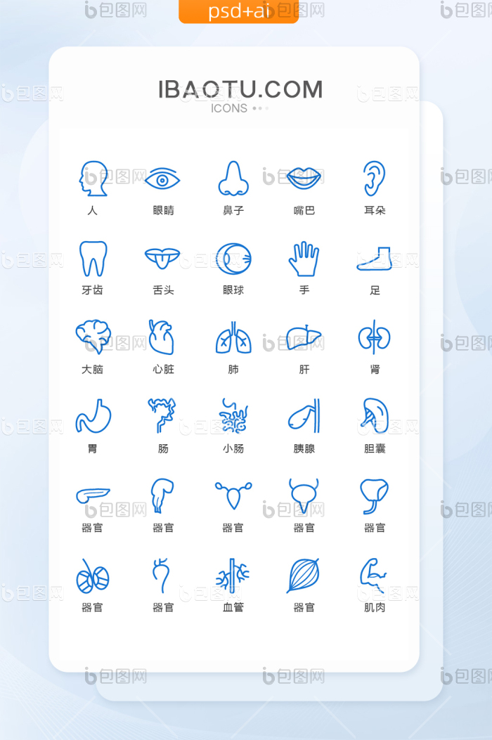 简约线性人体器官图标矢量UI素材icon-包图网