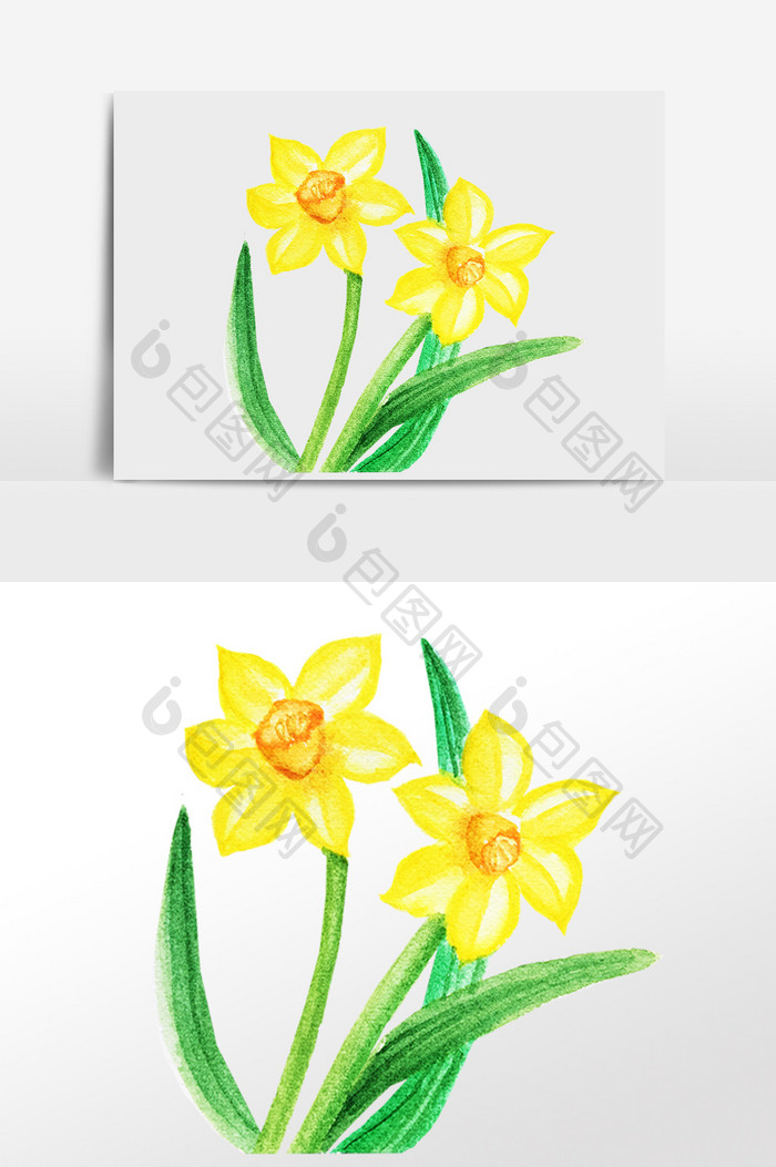 手绘唯美花朵黄水仙花插画元素