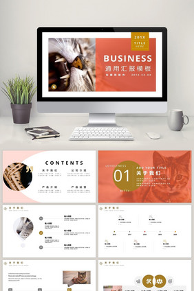 橘色清新萌宠通用类商务汇报PPT模板