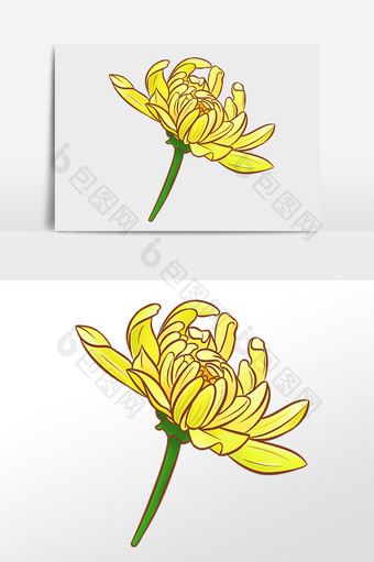 手绘秋季植物黄菊菊花插画元素图片