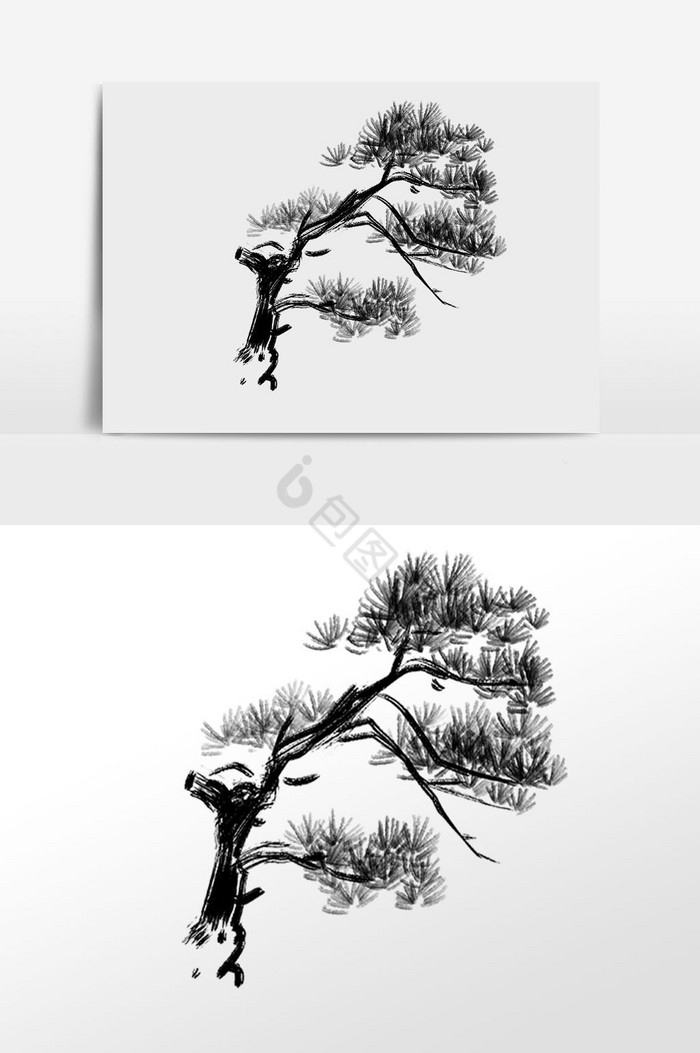 水墨松树松枝树枝插画图片