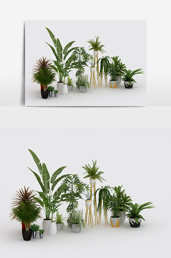 现代简约植物盆栽陈设饰品组合3d模型图片