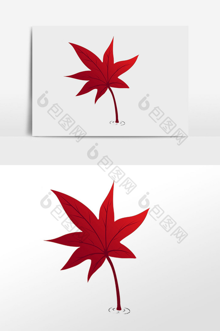 手绘秋季植物枫叶红色插画元素
