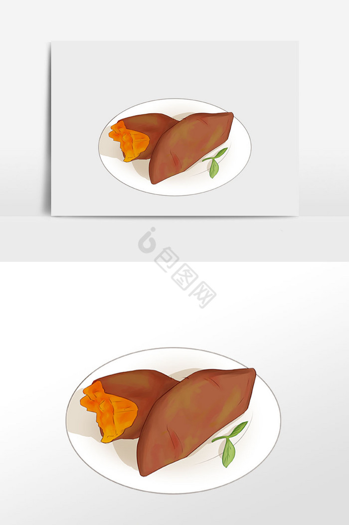 冬季红薯地瓜插画图片
