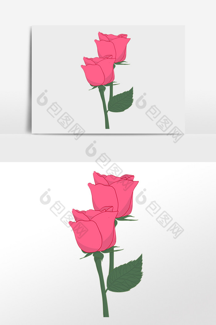 两支玫瑰花图片图片