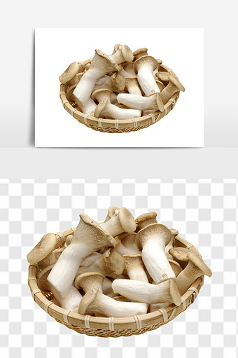 特产蘑菇新鲜野生蘑菇蔬菜组合元素图片