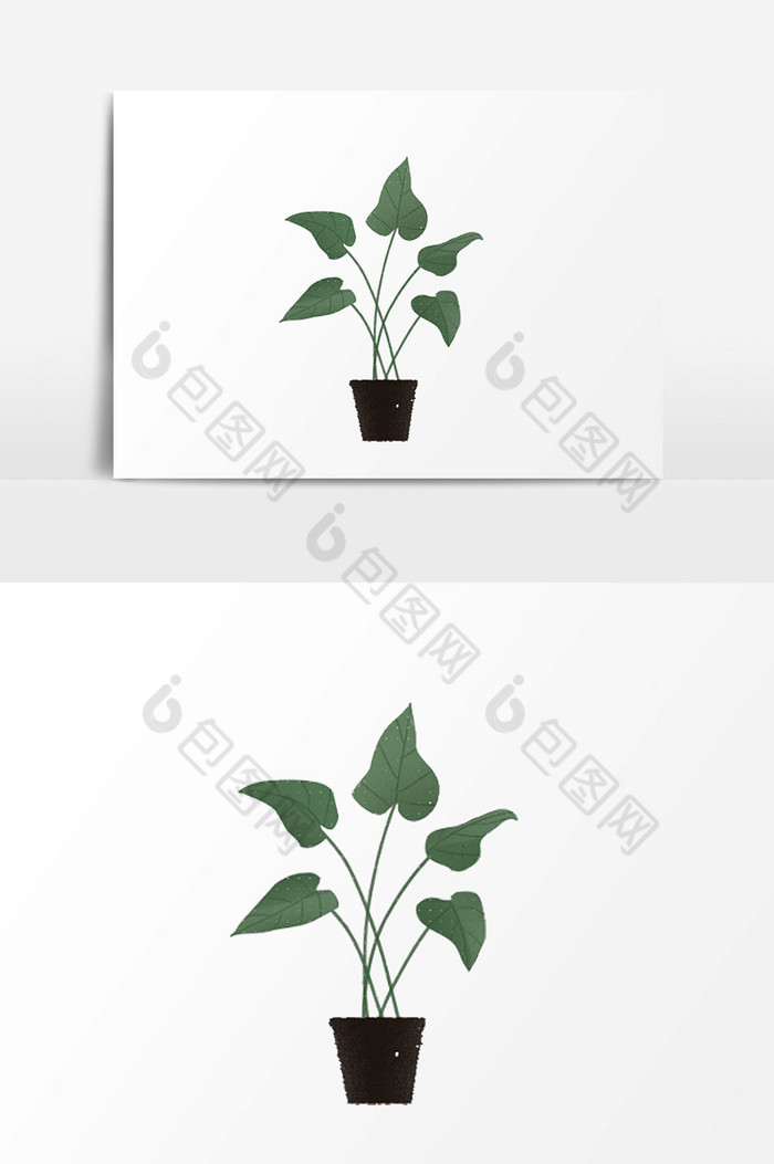 植物图片图片