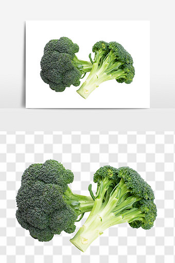 青花椰菜花菜绿菜花西兰花时令蔬菜组合元素图片