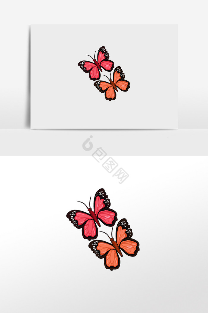 美丽蝴蝶插画图片