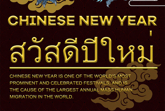 泰国农历新年金龟纹节日海报