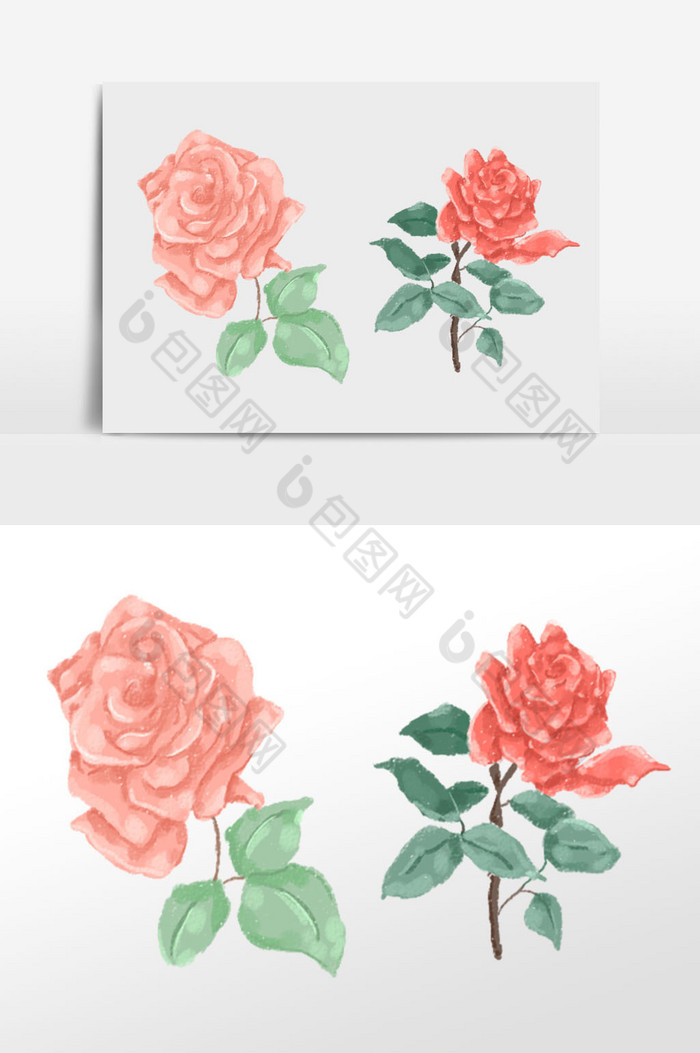花卉玫瑰插画植物花朵图片图片