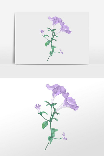 紫色 花卉 荷花 素材 插画 植物 花朵图片