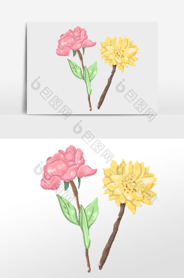 粉色 花卉素材 插画 植物 花朵