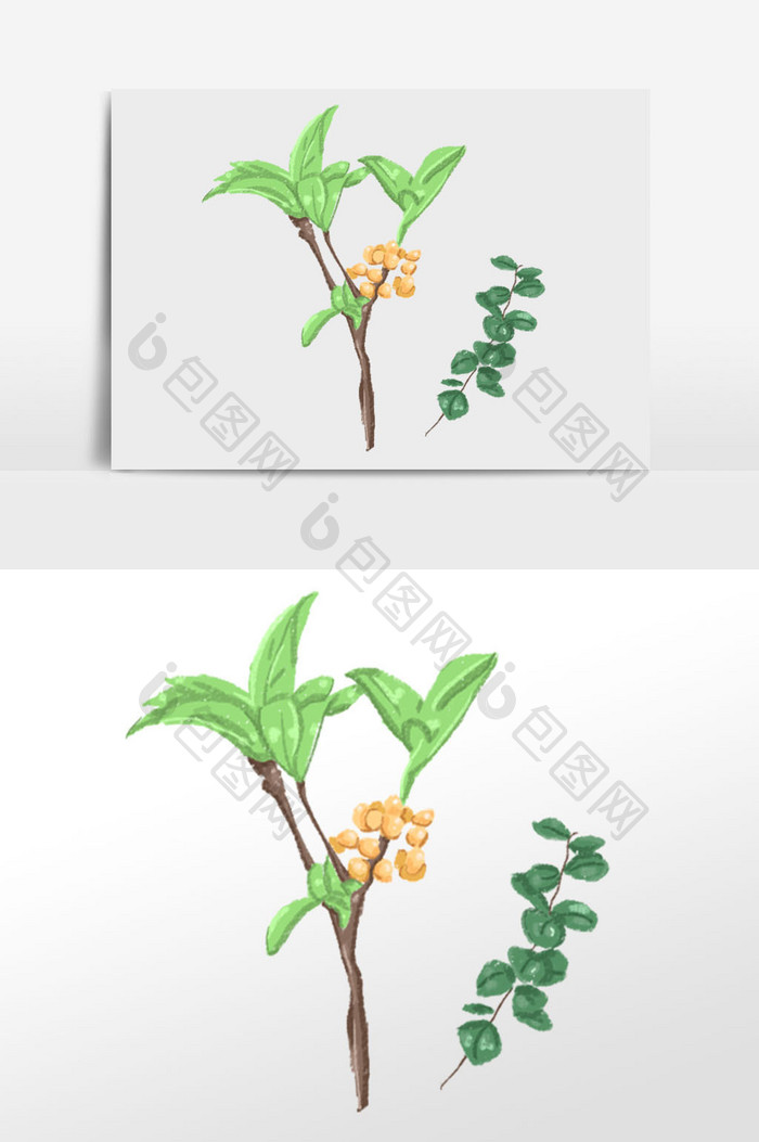 绿色素材 插画 植物 花朵