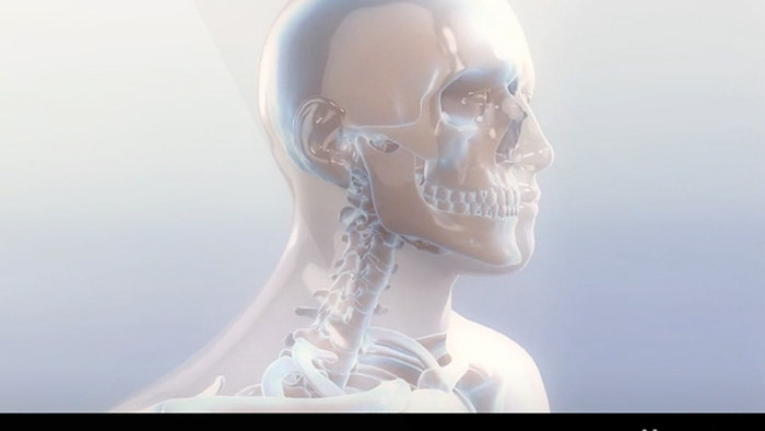 精细人体骨骼肌肉模型展示视频